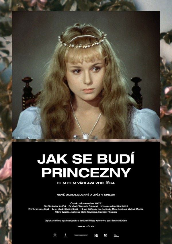 Jak se budí princezny