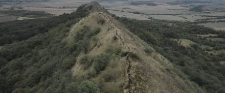 Wirbel (28)